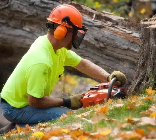 tree services Massapequa Park